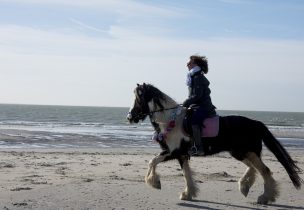 Ria Roggeband